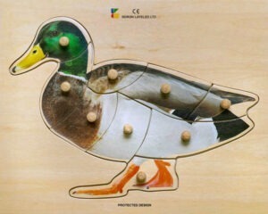 E72510270 – Duck – 8 Pieces