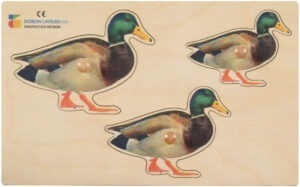 E72513270 – Duck