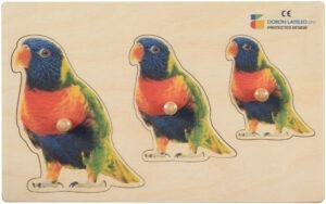 E72513250 – Parrot