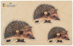 E72513260 – Hedgehog