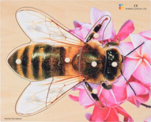 E72510300 – Bee – 6 Pieces