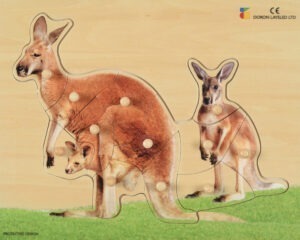 E72510400-Kangaroo-10 Pieces – N E W