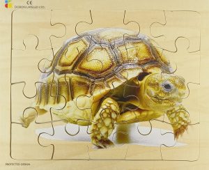 E72510421 – Turtle – 20 Pieces
