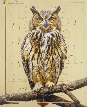 E72510441 – Owl – 20 Pieces