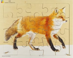 E72510451 – Fox – 20 Pieces